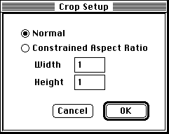 the Crop
Setup dialog