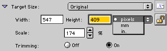 Target Size controls expanded