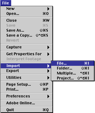 File-Import-File menu command
