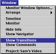Display the Transitions palette