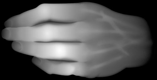 hand heightfield greyscale image