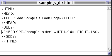 Sam Sample's completed HTML file
