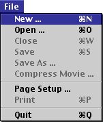 File--New command