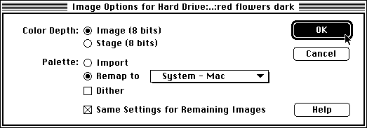 the Image Options dialog