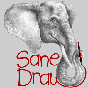 SaneDraw logo